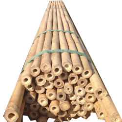 Maden Direği Model 1 - Görsel 1