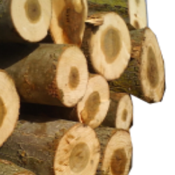 Tomruk Model 1 - Görsel 1